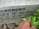 image of grave number 772119